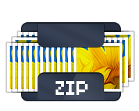 Download selected photos as a ZIP file